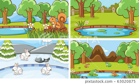 Background scenes of animals in the wild Background scenes of animals in the wild 63020875