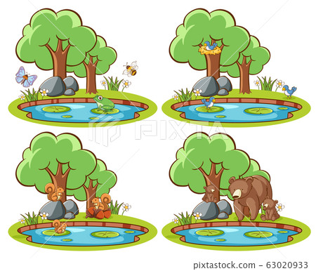 Set of wild animals in the park with pond and tree Set of wild animals in the park with pond and tree 63020933