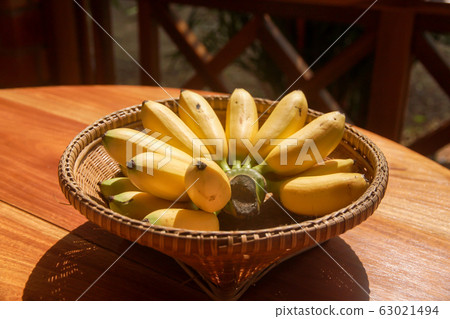 golden bananas or Lady Finger banana golden bananas or Lady Finger banana 63021494