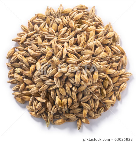 Barley, unhulled h. vulgare seeds, paths, top 63025922