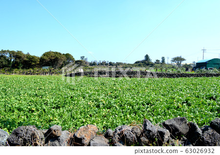 濟州島穆巴特 63026932