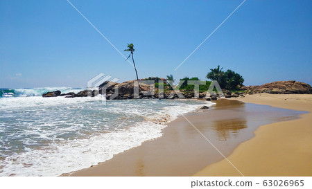 Sandy beach with palm trees by the ocean Sandy beach with palm trees by the ocean 63026965