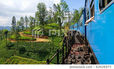 Passenger train with tourists rides through the Passenger train with tourists rides through the 63026973