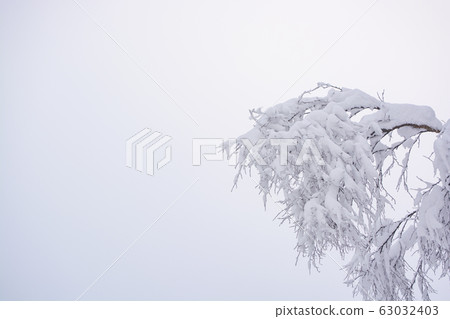 Tree branches against the sky in the winter forest 63032403