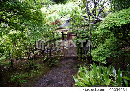 Tokyo: Nezu Museum Garden Kanchuan Tokyo: Nezu Museum Garden Kanchuan 63034984