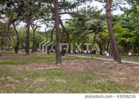 昌慶宮漫步 63036216