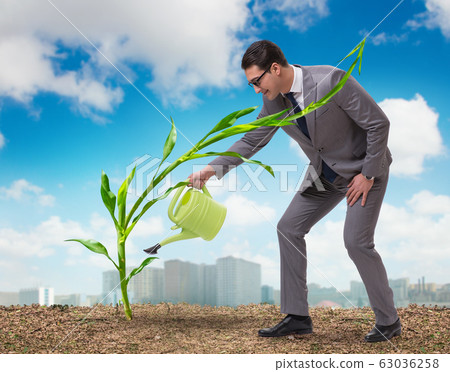 Businessman in new business concept 63036258