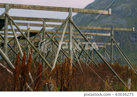 Empty norwegian fish dryers on  Lofoten Islands 63036275