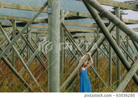 Young woman in blue dress holding tree trunk, 63036280