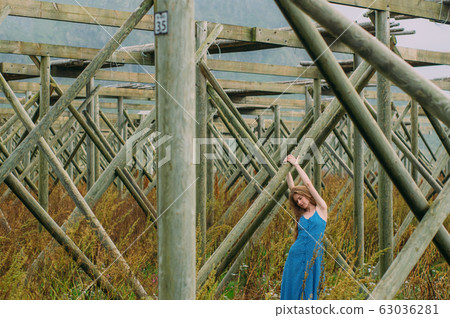 Young woman in blue dress holding tree trunk, 63036281