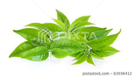 green tea leaf isolated on white green tea leaf isolated on white 63036412