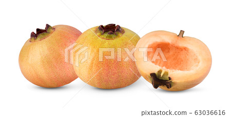 Syzygium jambos or rose apple on white background Syzygium jambos or rose apple on white background 63036616