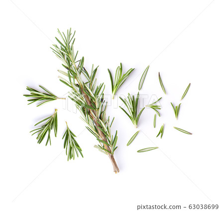 fresh rosemary isolated on white background. fresh rosemary isolated on white background. 63038699