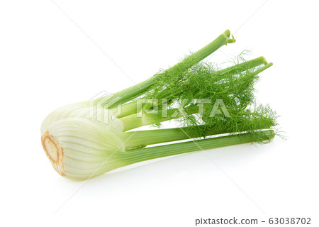Fresh fennel isolated on a white Fresh fennel isolated on a white 63038702