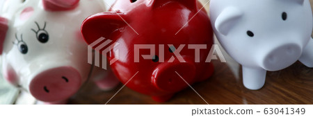 Multicolored stashing pigs Multicolored stashing pigs 63041349
