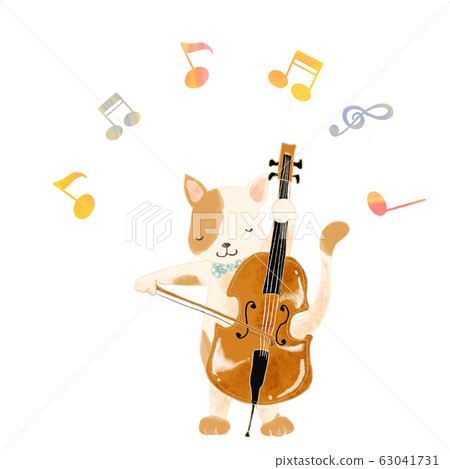 動物玩貓 63041731