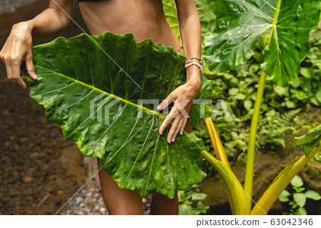 Focused photo on female hands that holding leaf 63042346