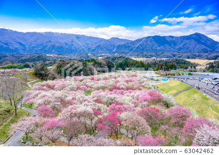 稻部農業園區百靈公園 稻部農業園區百靈公園 63042462