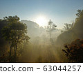 Morning light shining through the trees with mountain background 63044257