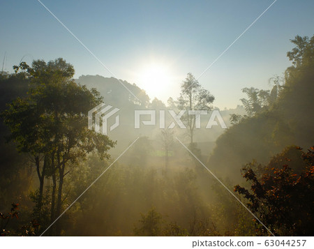 Morning light shining through the trees with mountain background 63044257