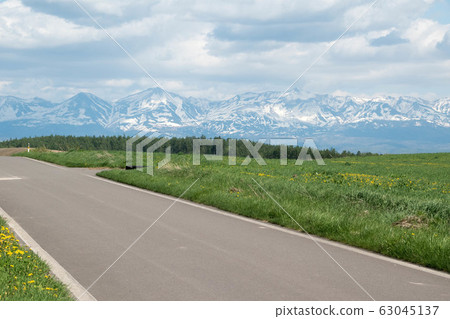 Road through a rural area in spring 63045137