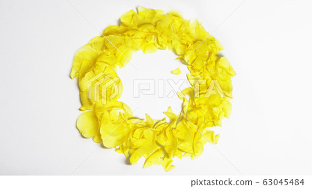 黃玫瑰背景 黃玫瑰背景 63045484