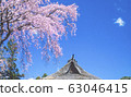 Weeping cherry and private house roof 63046415