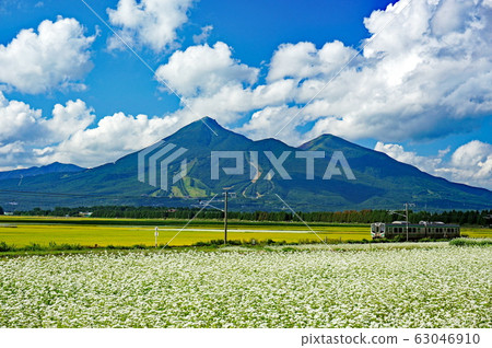 Soba field and Aizu Bandai mountain 63046910
