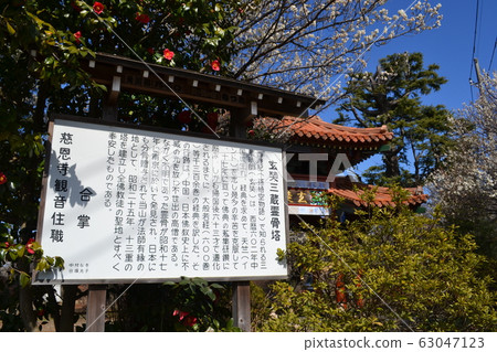 軒寶塔 軒寶塔 63047123