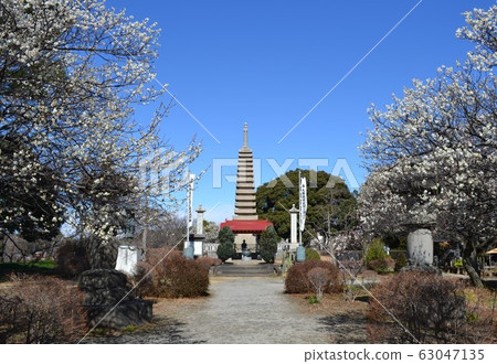 Xuan Pagoda Xuan Pagoda 63047135