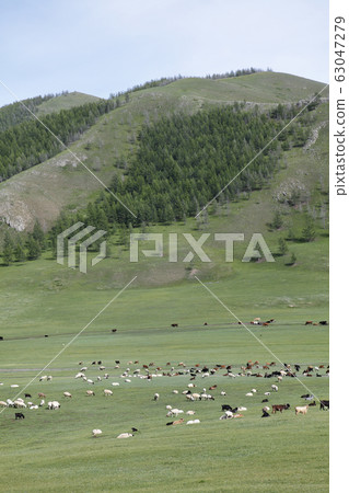 Landscape of Mongolia Landscape of Mongolia 63047279
