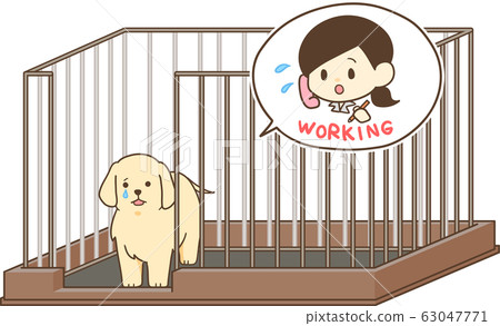 Golden Retriever puppy (answering 2 in circle) 63047771