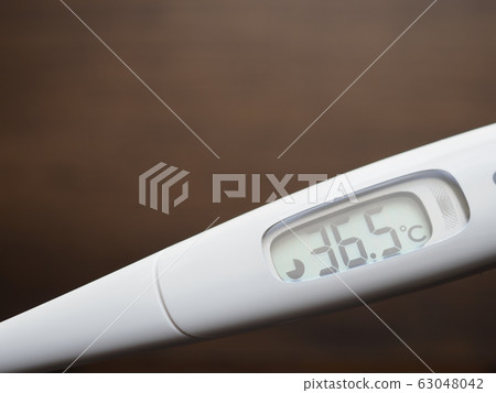 Thermometer 63048042