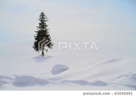 Christmas tree tree Christmas tree tree 63048991