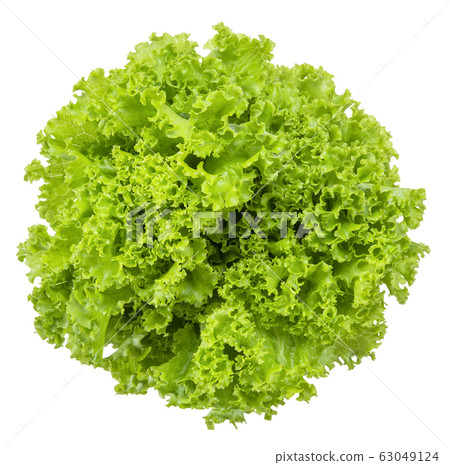 Lettuce isolated on white clipping path Lettuce isolated on white clipping path 63049124