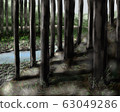 Illustration of thickets 63049286