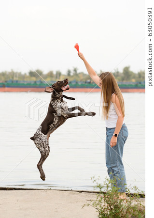 Owner walk with the dog Owner walk with the dog 63050391