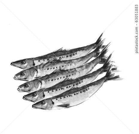 5沙丁魚沙丁魚水彩墨風格單調 63051883
