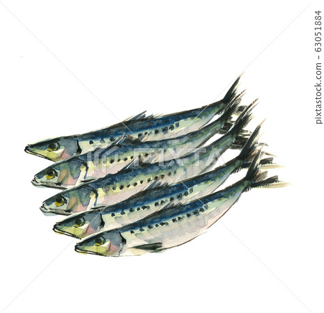 內襯沙丁魚5沙丁魚水彩 63051884