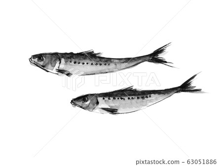 兩種沙丁魚沙丁魚水彩墨風格單調 63051886
