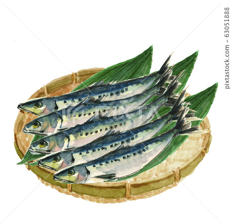 Sardine sardine 5 tails colander bamboo grass [watercolor] 63051888