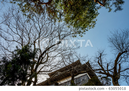 福井縣丸岡城堡（日本現存最古老的城堡塔樓）2020年3月上旬 63055018