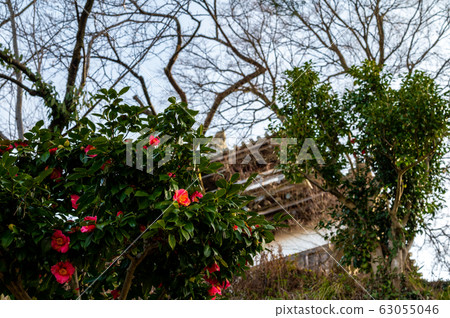 Maruoka Castle, Fukui Prefecture (the oldest surviving castle tower in Japan) Early March 2020 63055046
