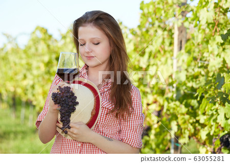 pretty young woman harvesting grapes 63055281
