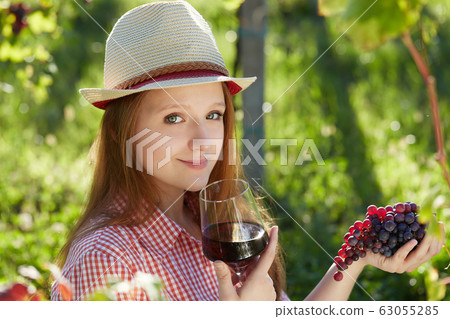 pretty young woman harvesting grapes pretty young woman harvesting grapes 63055285