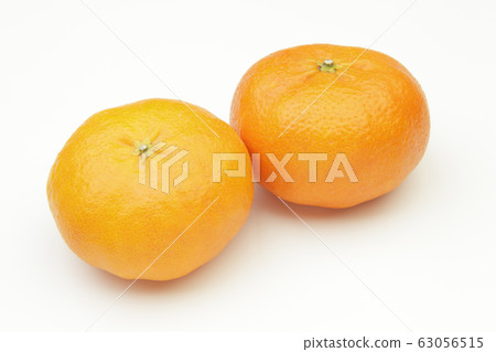 坎培 坎培 63056515