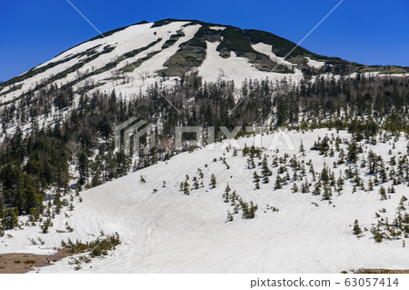 從Ku澤田代郎看的春竹竹 63057414