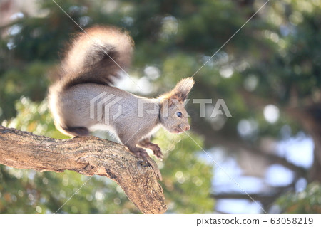 Tokachi Ezoris Landscape Tokachi Ezoris Landscape 63058219