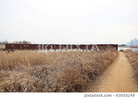 Sora wetland ecological park 63058249