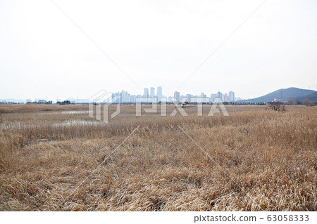 Sora wetland ecological park 63058333